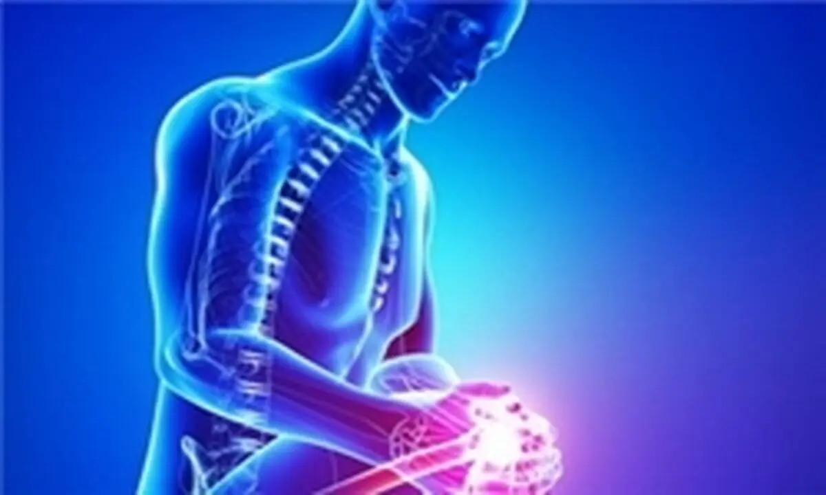 رژیمی مناسب برای افراد مبتلا به التهاب مفاصل