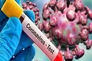 افزایش تعداد بیماران کروناویروس به 16169 نفر در کشور/ فوت 988 هم وطن براثر ابتلا به کرونا
