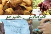 برندسازی محصولات کشاورزی با محقق شدن اقتصاد مقاومتی در خنداب + تصاویر