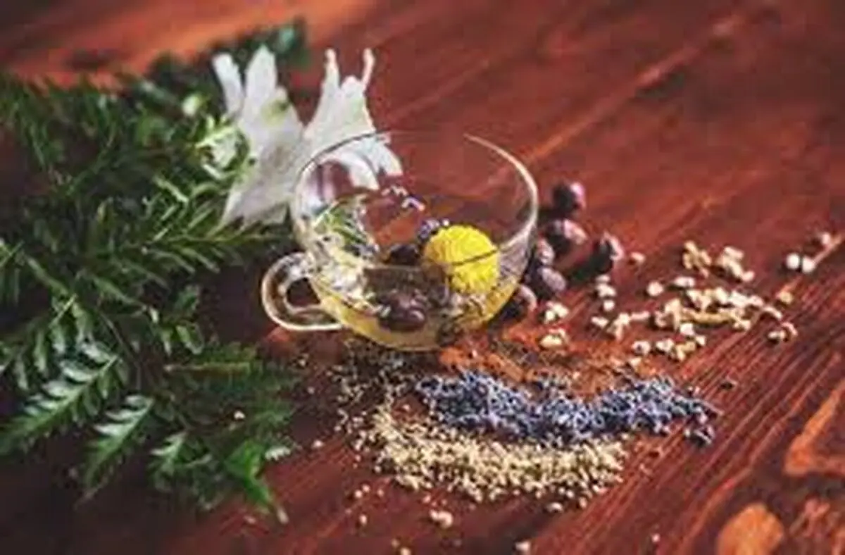 ضرر مصرف خودسرانه دمنوش‌های گیاهی برای کلیه
