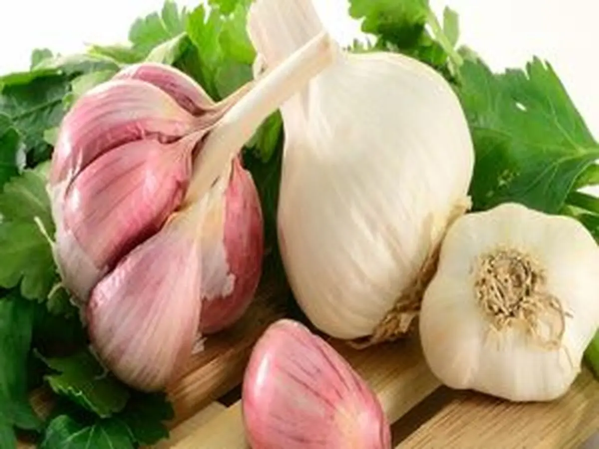 10 خاصیت بی نظیر «سیر» که از ان بی خبرید