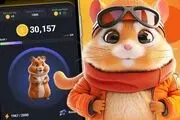 نحوه وارد کردن کد مورس در بازی همستر کامبت