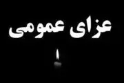 فردا در فارس عزای عمومی اعلام شد
