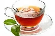 تولید 100 کیلو چای سفید در گیلان