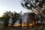 گسترش آتش سوزی جنگل‌های اندیمشک