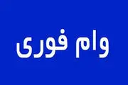 جزئیات وام فوری یک روزه؛ راه نجات یا تله کلاهبرداران؟
