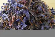 جوشانده گل گاوزبان برای چه کسانی مضر است؟
