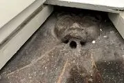 کشف چهرۀ 600 سالۀ «بچه‌جنّ» در توالت یک خانۀ قدیمی+ عکس