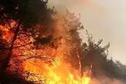 خبر مهم درباره آتش‌سوزی جنگل‌های الیت
