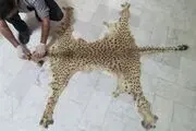 تصاویری از سرنوشت غم‌انگیز یوزپلنگ توران 