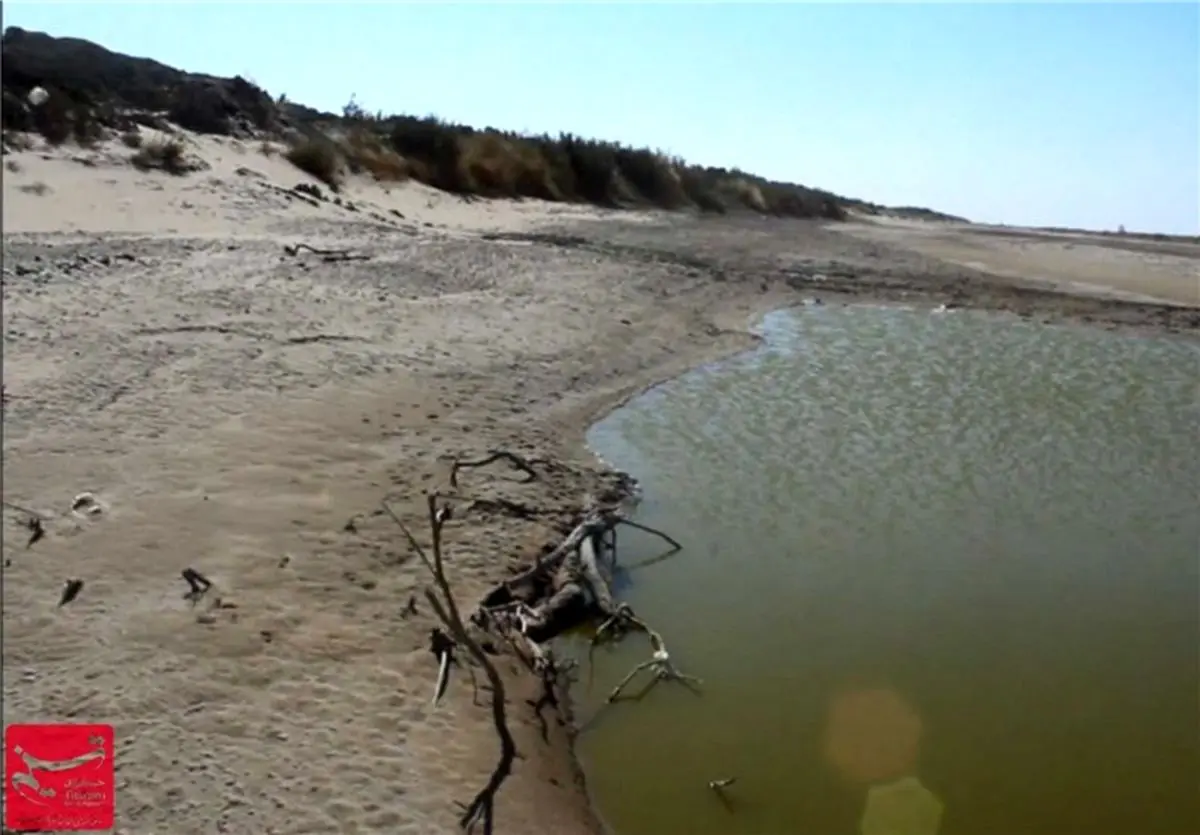  ‌بحران آب در شهرستان میناب روز به روز ابعاد فاجعه‌بارتری به خود می‌گیرد