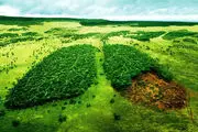 تغییرات اقلیمی، چالشی جدی برای محیط زیست