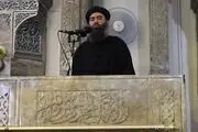 سرکردگان تروریست‌ها چه تحصیلاتی دارند؟