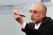 توصیه علی‌اکبر صالحی به دولت منتخب