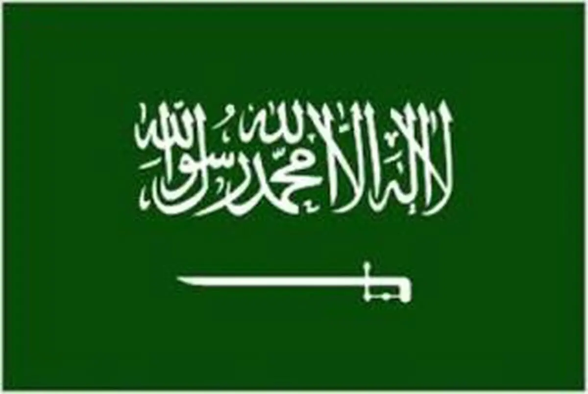 تمسخر شبکه دولتی عربستان به دلیل نشر اخبار دروغ+ تصاویر 