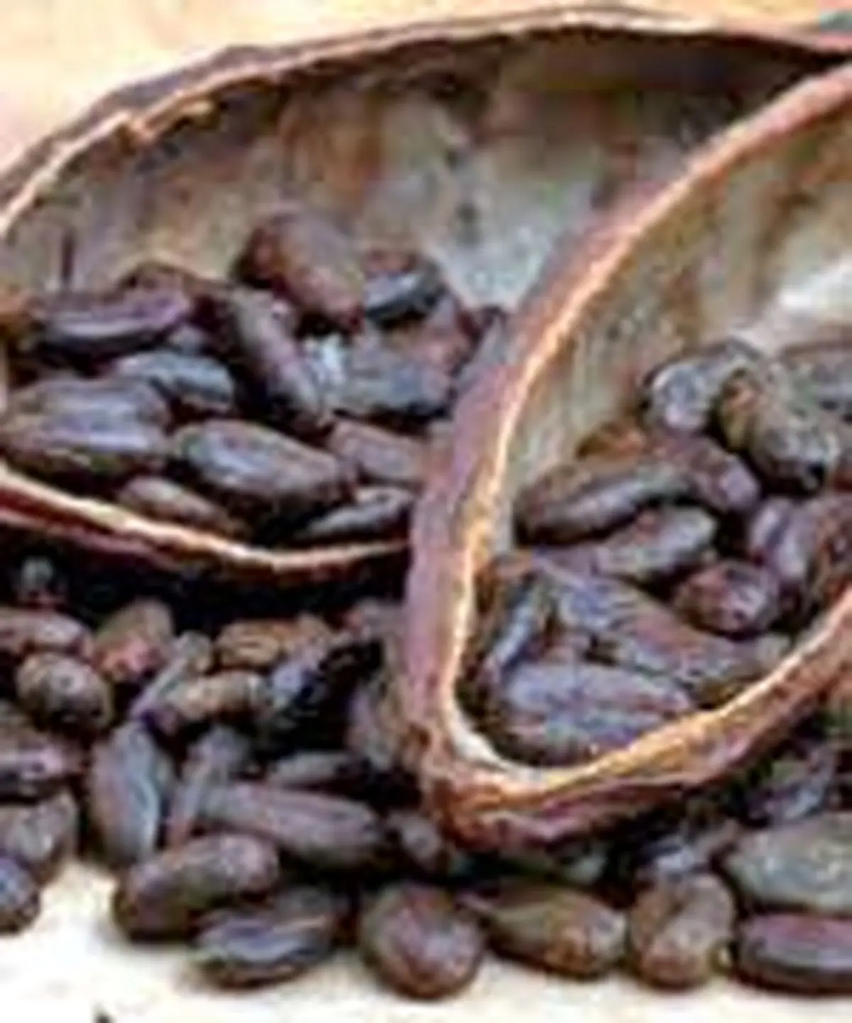 کاکائو، سموم بدن را دفع می کند
