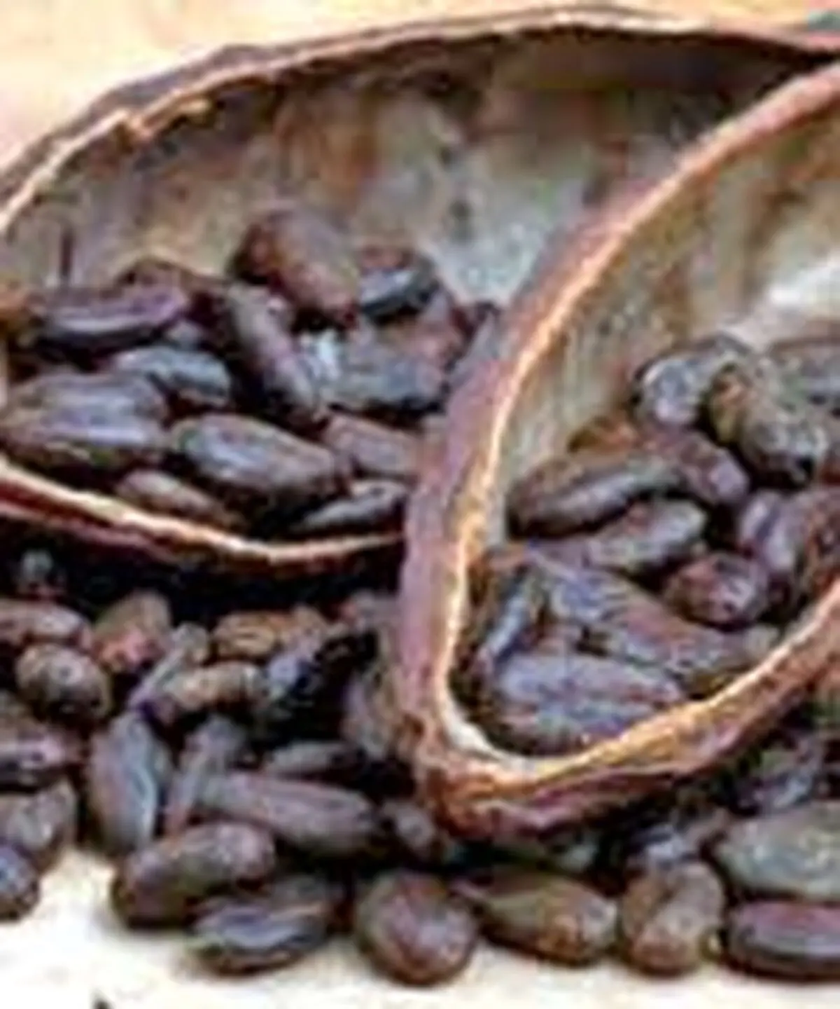 کاکائو، سموم بدن را دفع می کند