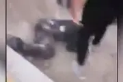 ویدیویی دردناک از وحشی‌گری اغتشاشگران +فیلم(+18)