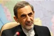 ولایتی: ایران به عنوان قدرت اول منطقه در حال تثبیت است