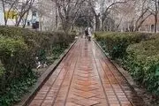  بارش باران در تهران/ گزارش تصویری