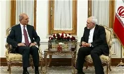 دیدار ظریف با مدیرکل سازمان منع گسترش سلاح‌های شیمیایی