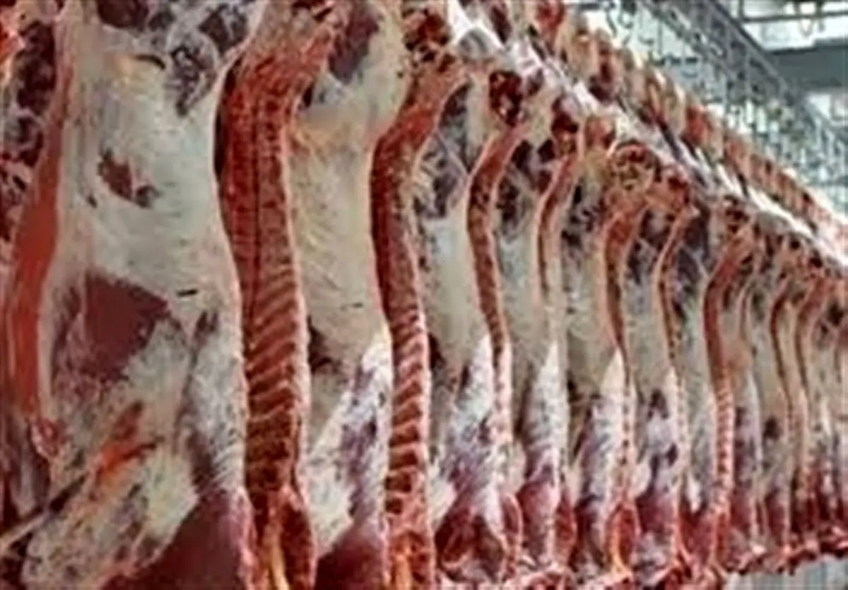 گوشت های وارداتی بهداشتی و شرعی است
