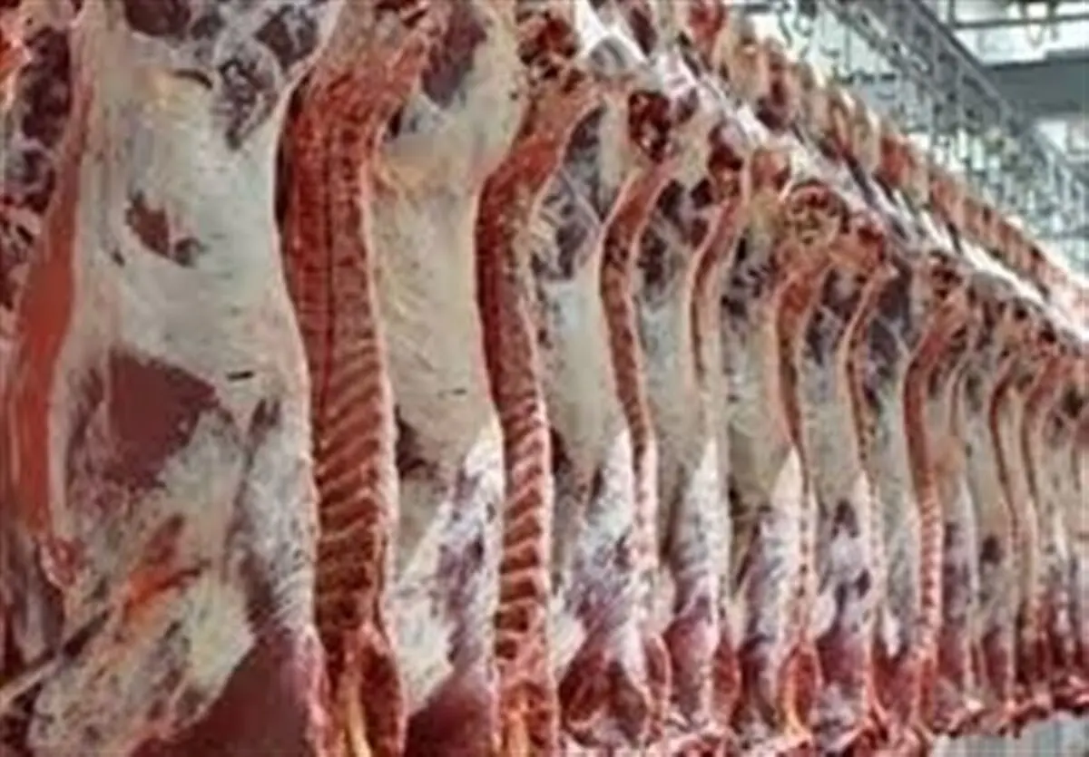 گوشت های وارداتی بهداشتی و شرعی است
