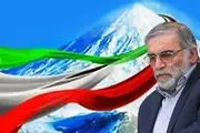 
واکنش برخی هنرمندان به ترور شهید محسن فخری زاده/ تصاویر