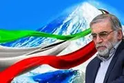 ترور فخری زاده جلوی پیشرفت برنامه هسته‌ای ایران را نگرفت