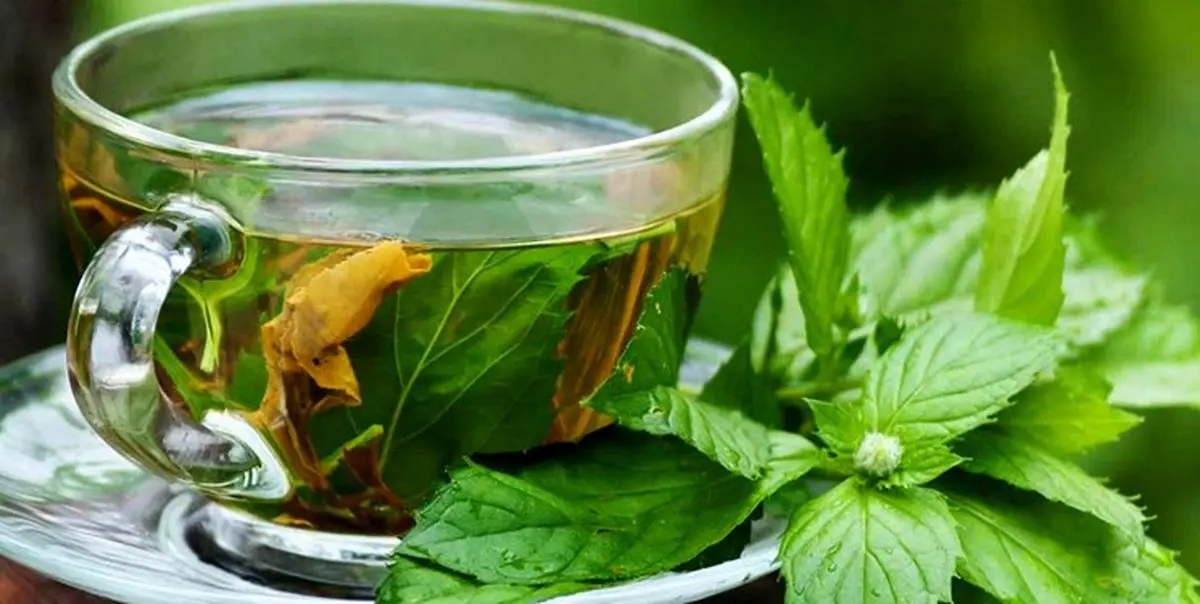 دمنوشهایی شگفت انگیز برای تقویت ایمنی بدن در برابر کرونا