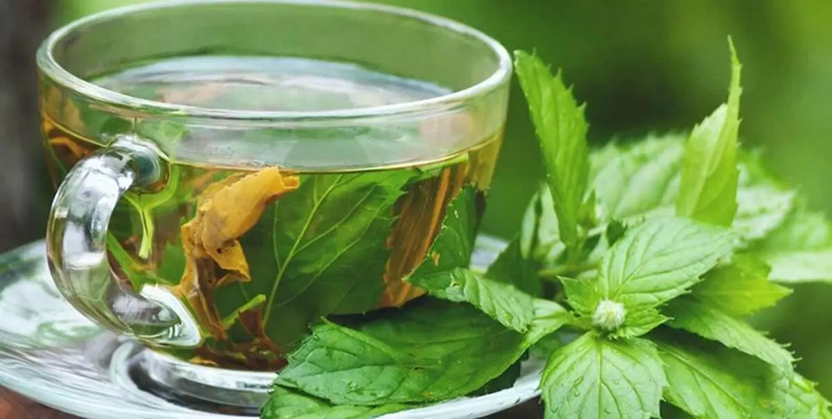 دمنوش‌هایی شگفت انگیز برای تقویت ایمنی بدن در برابر کرونا