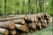 صادرات و واردات چوب آزاد است