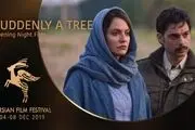 فیلم‌های مهناز افشار و فاطمه معتمدآریا روی پرده سینماهای استرالیا
