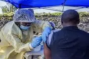کشف ویروسی کشنده در مغز بهبود یافتگان ابولا
