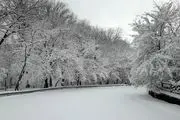 چهره برفی و زیبای پارک ملی گلستان