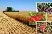 سرانه مصرف میوه ایران ۲ برابر کشور‌های توسعه یافته