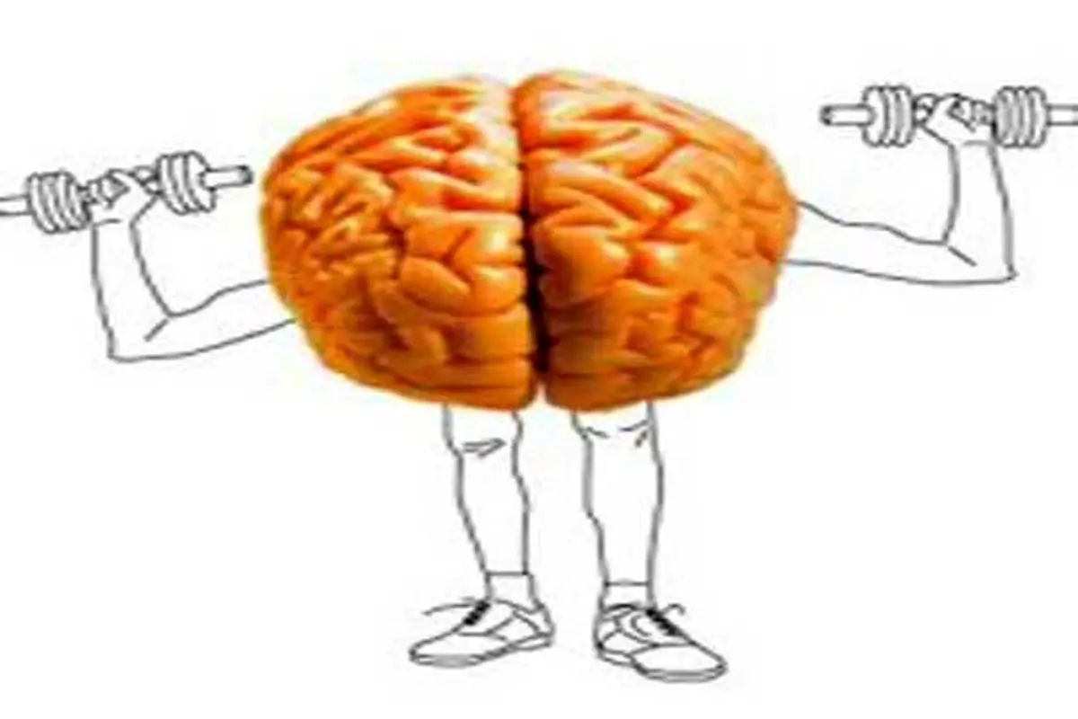 برای افزایش تمرکز در محل کار این خوراکی ها را بخورید!