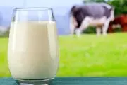 قیمت انواع شیر در بازار