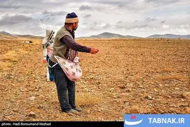 روز ملی روستا و عشایر/گزارش تصویری