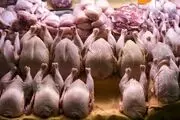 قیمت مرغ امروز شنبه ۸ آذر ۱۴۰۴