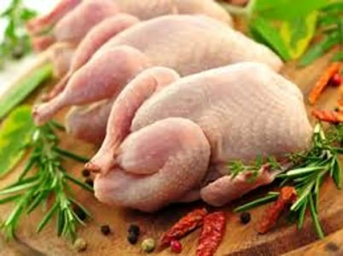 کاهش عرضه،باعث گرانی مرغ شد