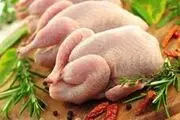 مرغ های کم وزن سالم تر هستند