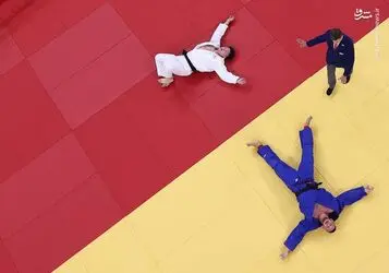 3216580.jpg