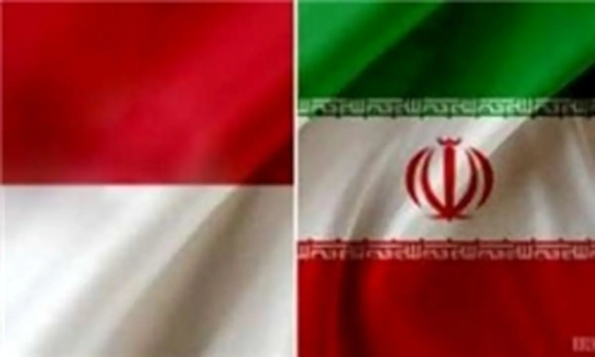 تفاهمنامه همکاری وزرای ورزش ایران و اندونزی