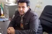 گلخانه اسلام‌آباد غرب در سفر دولت به کرمانشاه کلنگ زنی می‌شود