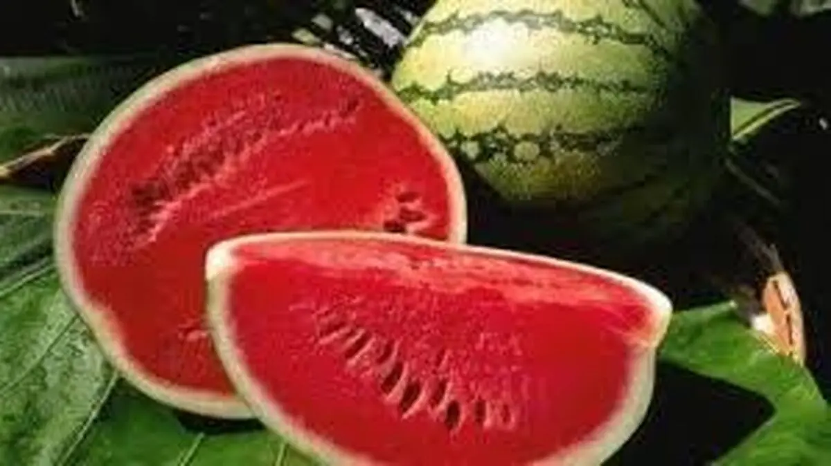 
آیا هندوانه بدن را سیراب نگه می‌دارد؟
