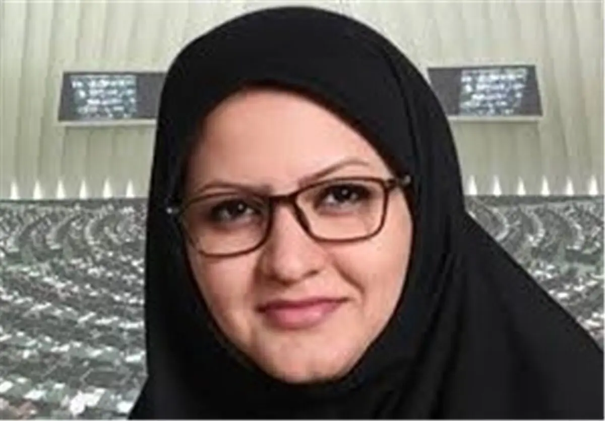 مینو خالقی با مصوبه امروز به مجلس راه پیدا نمی‌کند