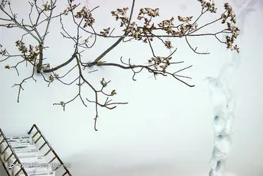 11252611_347