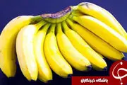 وارداتی که ۳۳میلیون دلار هزینه برد