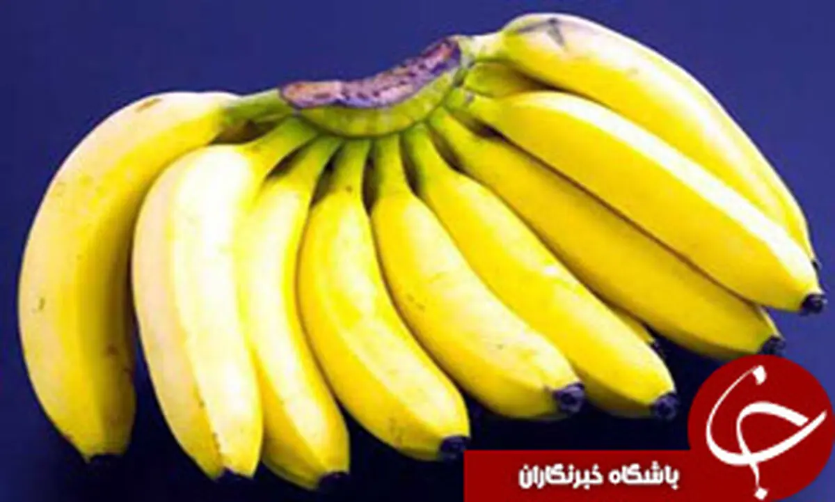 وارداتی که ۳۳میلیون دلار هزینه برد